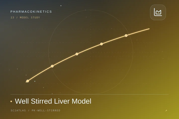肝良搅拌模型