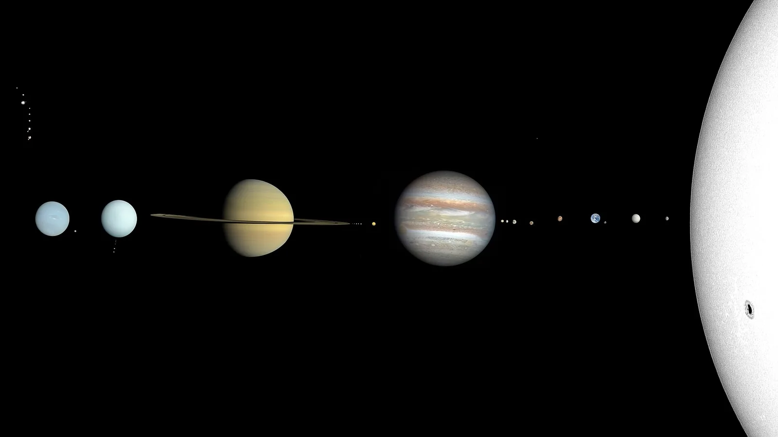 太阳和八大行星相对轨道的本地示意图